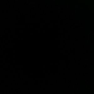 Meet your Posher, Jayla